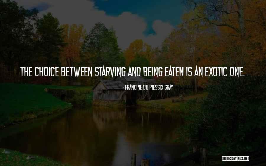 Herrumbre Significado Quotes By Francine Du Plessix Gray Herrumbre Significado Quotes By Francine Du Plessix Gray