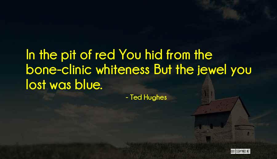 Herschorn Eye Quotes By Ted Hughes Herschorn Eye Quotes By Ted Hughes