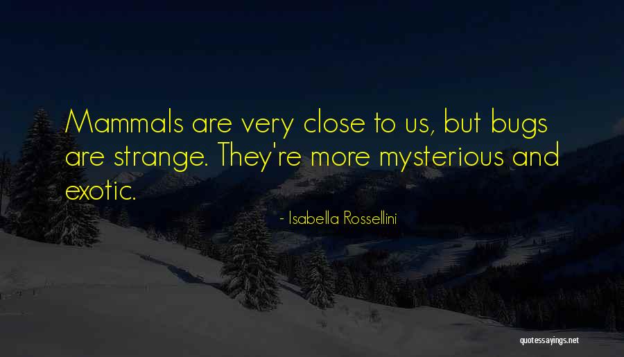 Hershkovitz And Associates Quotes By Isabella Rossellini Hershkovitz And Associates Quotes By Isabella Rossellini