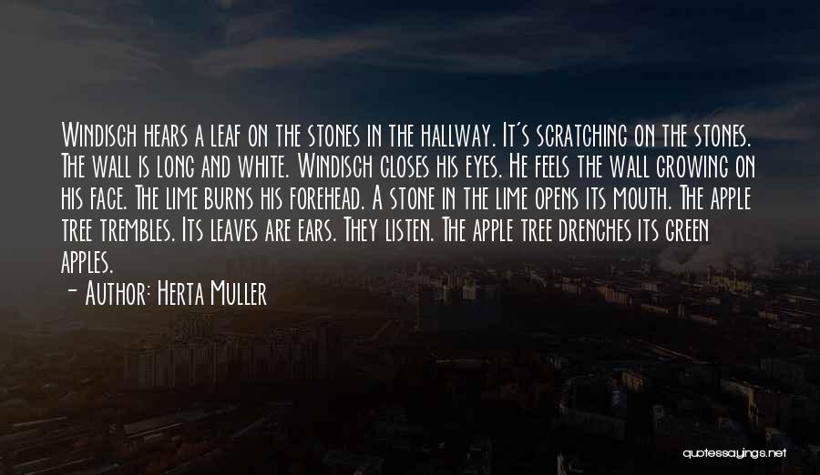 Herta Muller Quotes 1269883