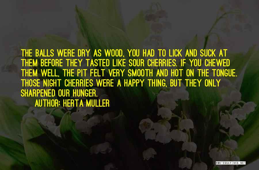 Herta Muller Quotes 169854