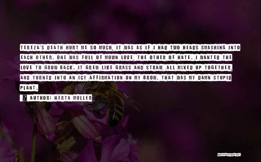 Herta Muller Quotes 2223859