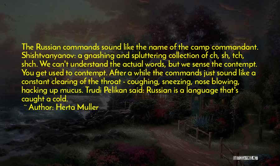 Herta Muller Quotes 964084