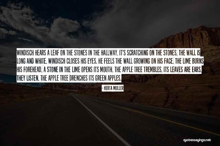 Herta Quotes By Herta Muller Herta Quotes By Herta Muller