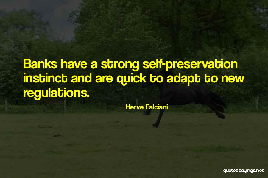 Herve This Quotes By Herve Falciani