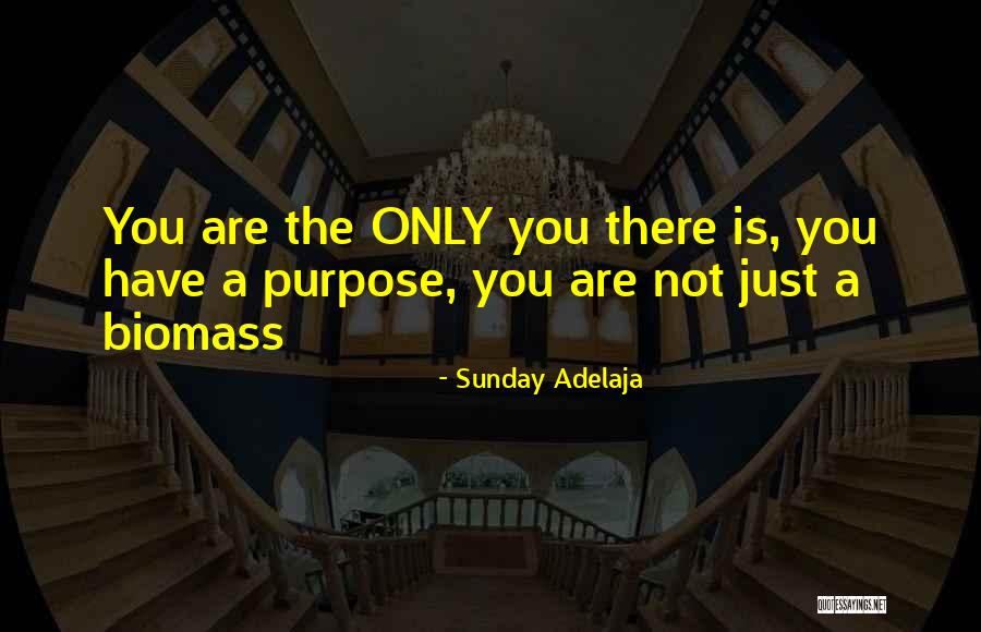 Hervieux Real Estate Quotes By Sunday Adelaja Hervieux Real Estate Quotes By Sunday Adelaja