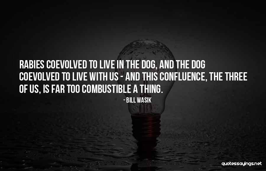 Hervir Las Costillas Quotes By Bill Wasik Hervir Las Costillas Quotes By Bill Wasik