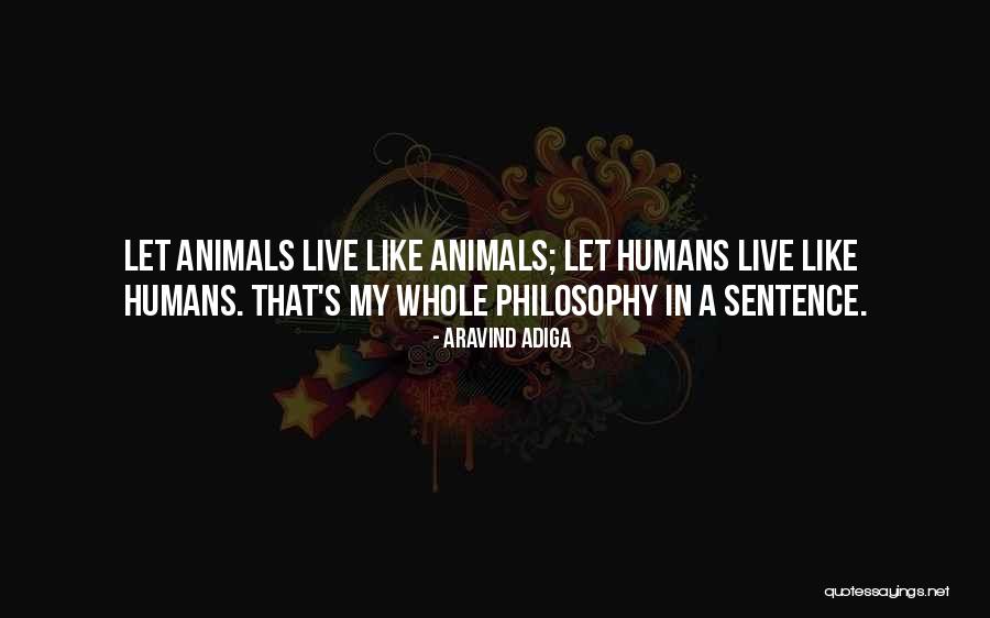 Hervy Christmas Quotes By Aravind Adiga Hervy Christmas Quotes By Aravind Adiga