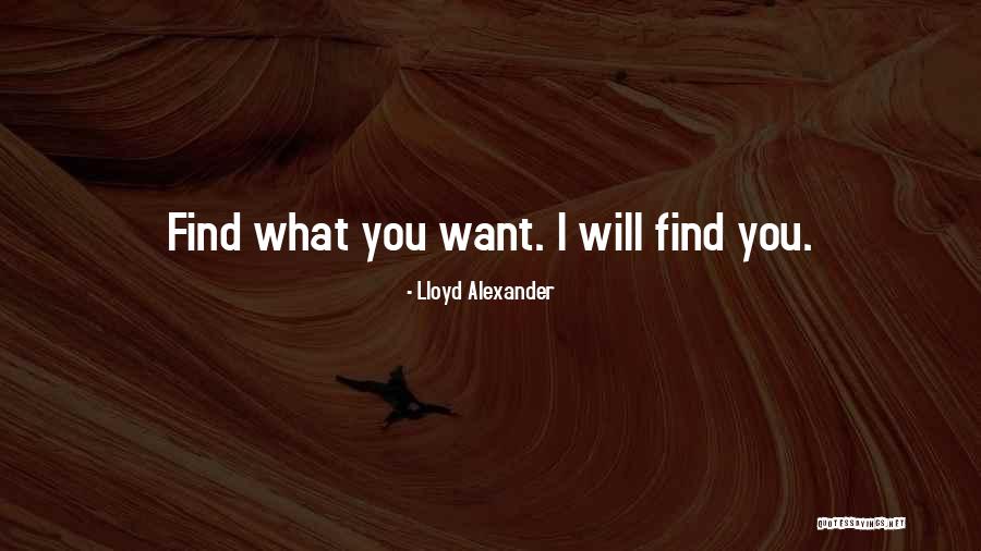 Herzberger Backerei Quotes By Lloyd Alexander