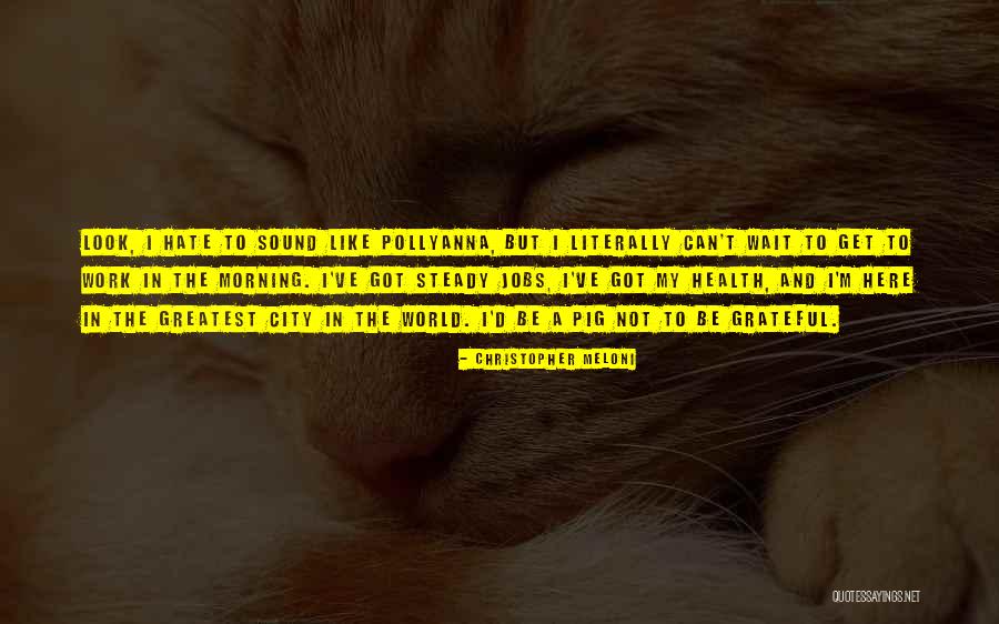 Herzbergs Two Factor Quotes By Christopher Meloni Herzbergs Two Factor Quotes By Christopher Meloni