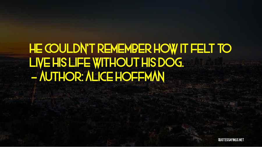 Herzenberg Tie Quotes By Alice Hoffman