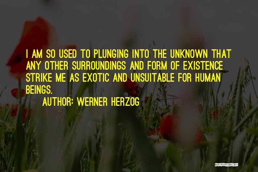 Herzog Quotes By Werner Herzog