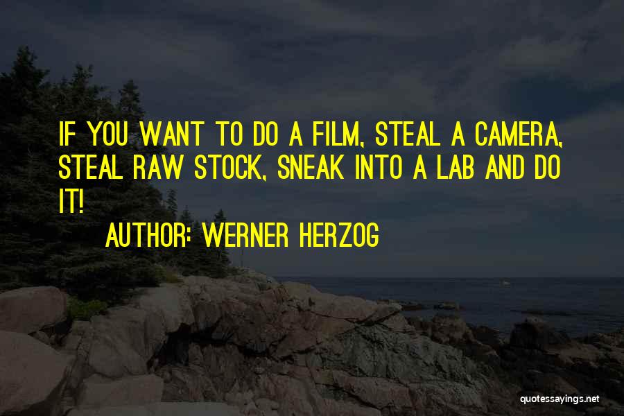 Herzog Quotes By Werner Herzog