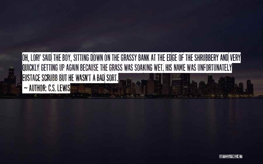 He's A Bad Boy Quotes By C.S. Lewis