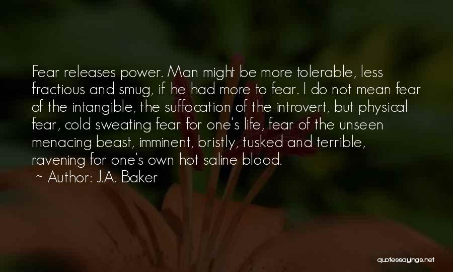 He's A Beast Quotes By J.A. Baker