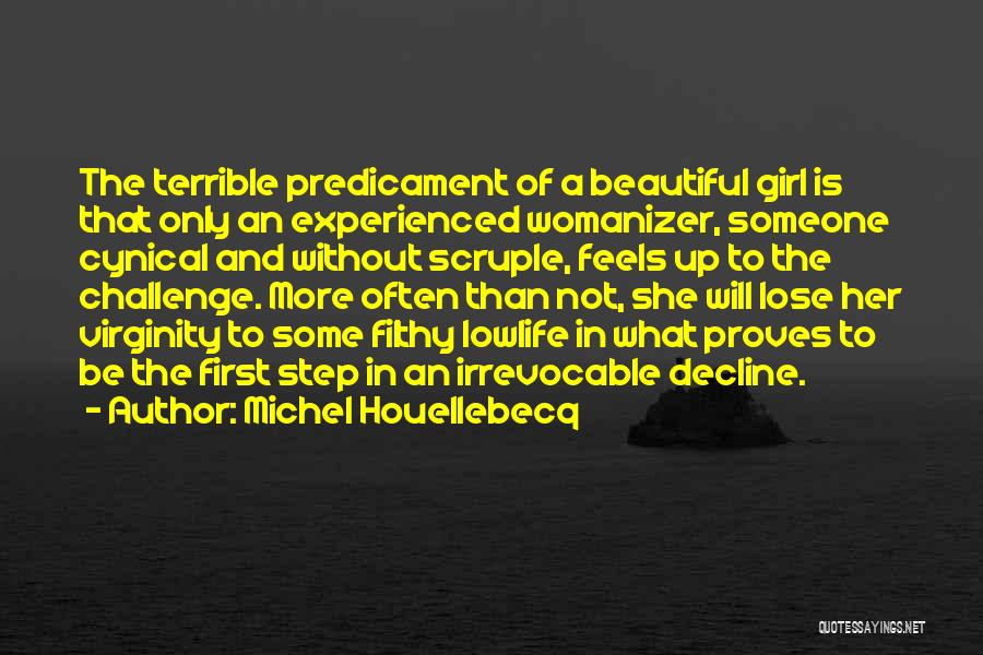 He's A Womanizer Quotes By Michel Houellebecq