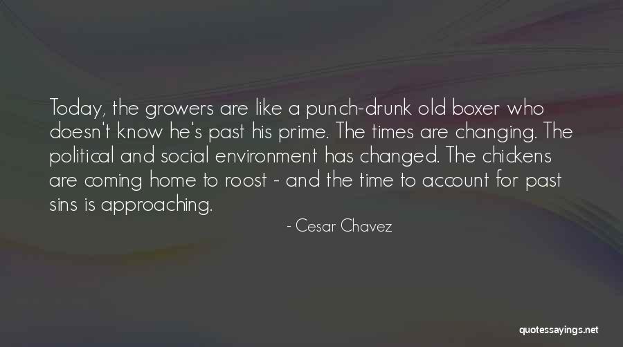 He's Coming Home Quotes By Cesar Chavez He's Coming Home Quotes By Cesar Chavez