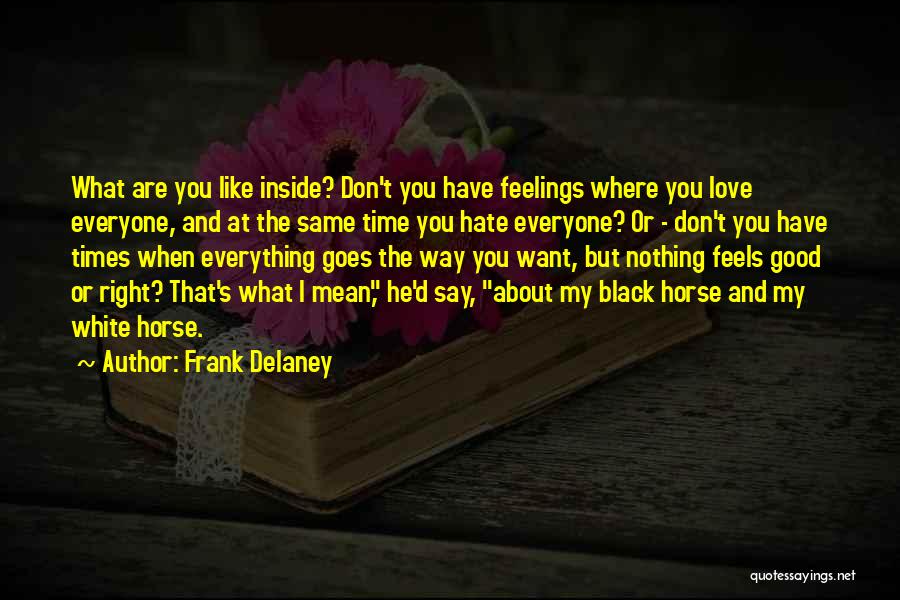 He's Everything I Want Quotes By Frank Delaney