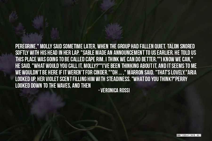 He's In A Better Place Quotes By Veronica Rossi He's In A Better Place Quotes By Veronica Rossi