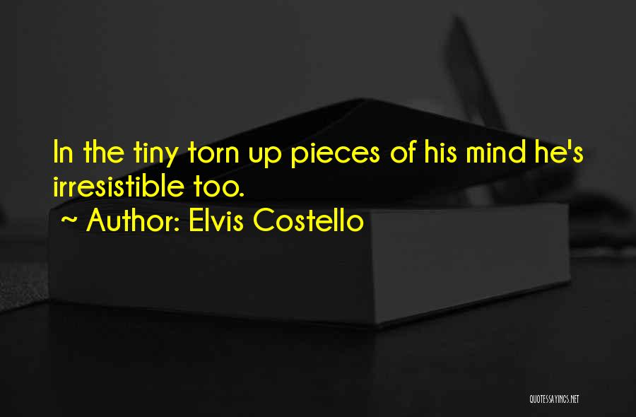 He's Irresistible Quotes By Elvis Costello