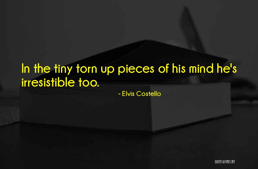 He's Irresistible Quotes By Elvis Costello