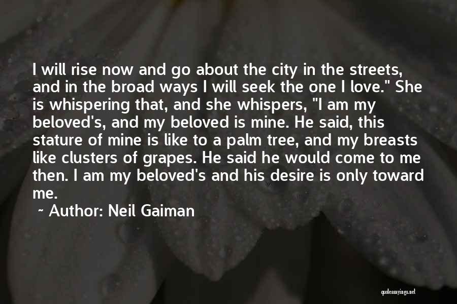 He's Mine Now Quotes By Neil Gaiman