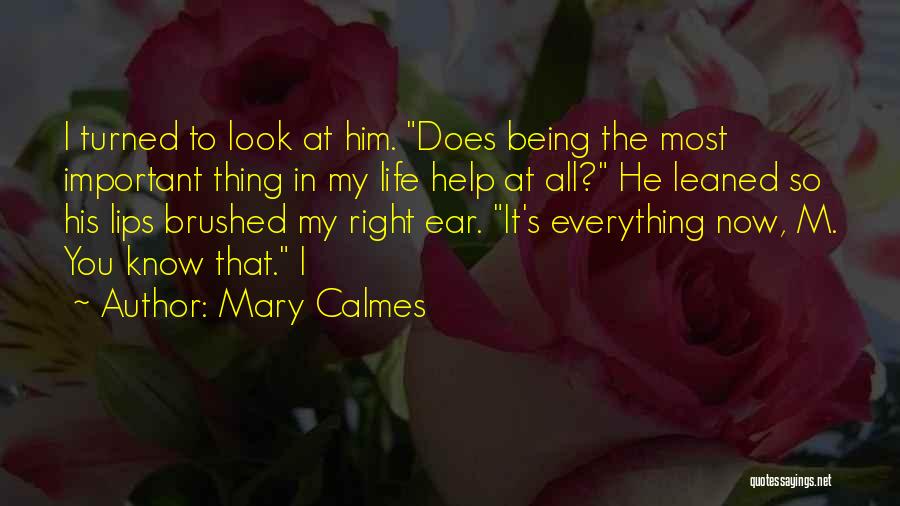 He's My Everything He's My All Quotes By Mary Calmes