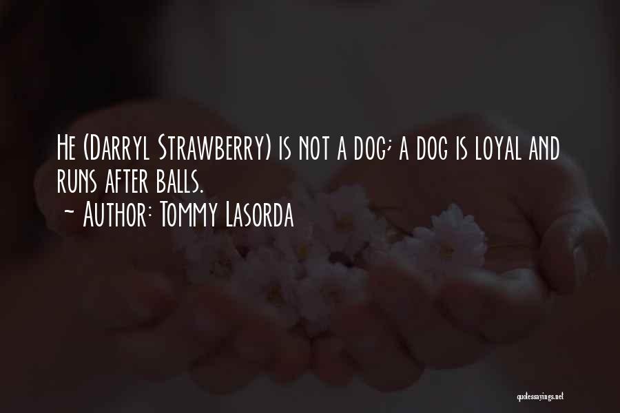 He's Not Loyal Quotes By Tommy Lasorda