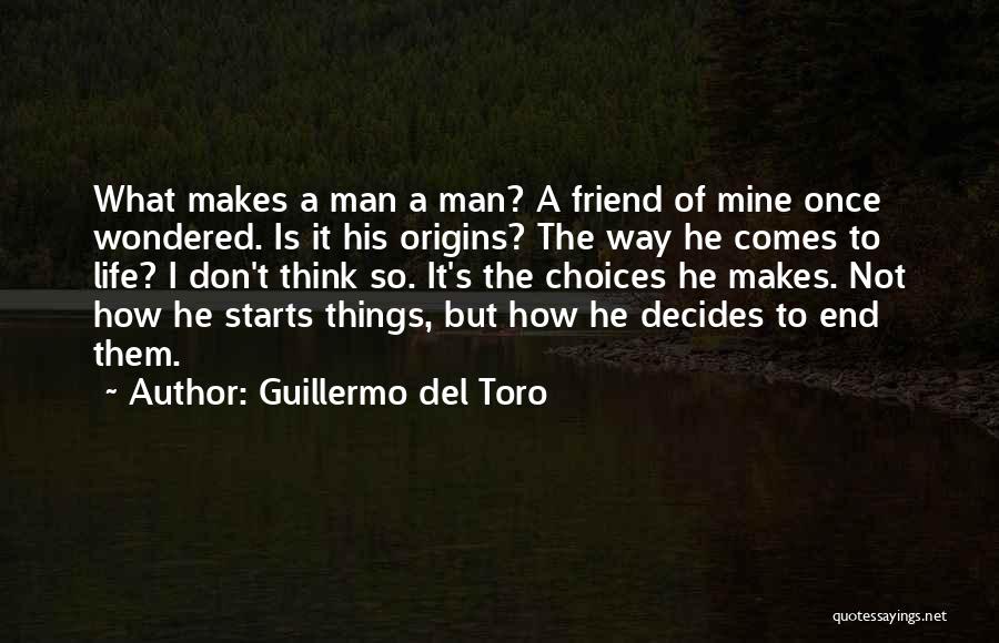 He's Not Mine But Quotes By Guillermo Del Toro