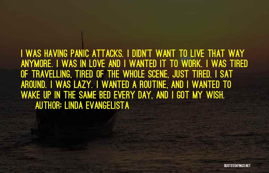 He's Not The Same Anymore Quotes By Linda Evangelista