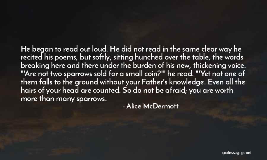 He's Not Worth You Quotes By Alice McDermott He's Not Worth You Quotes By Alice McDermott