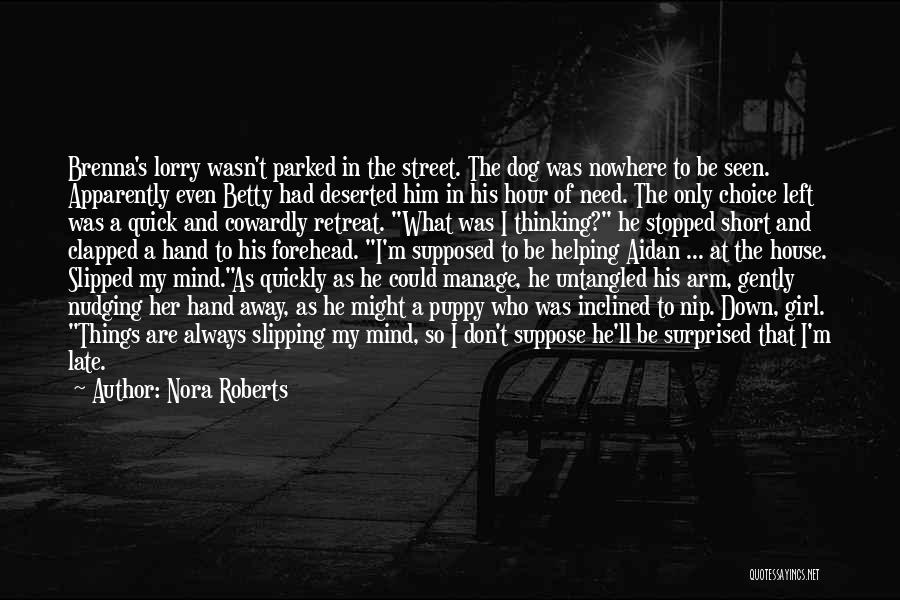 He's Slipping Away Quotes By Nora Roberts