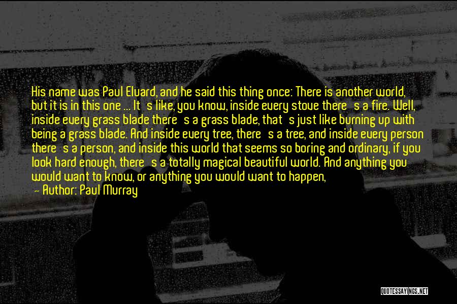 He's So Beautiful Quotes By Paul Murray