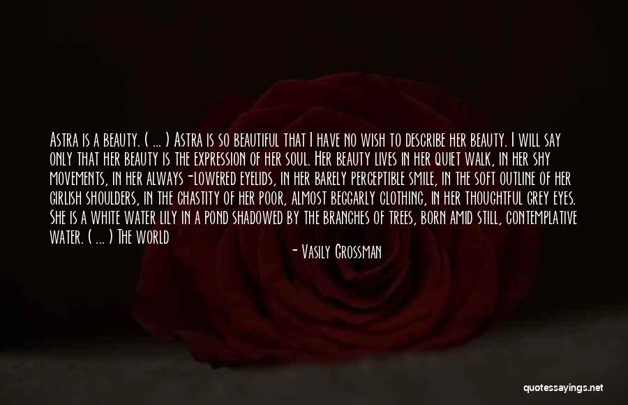 He's So Beautiful Quotes By Vasily Grossman