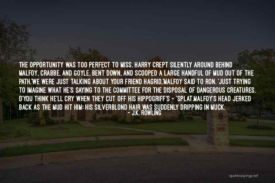 He's Too Perfect Quotes By J.K. Rowling He's Too Perfect Quotes By J.K. Rowling