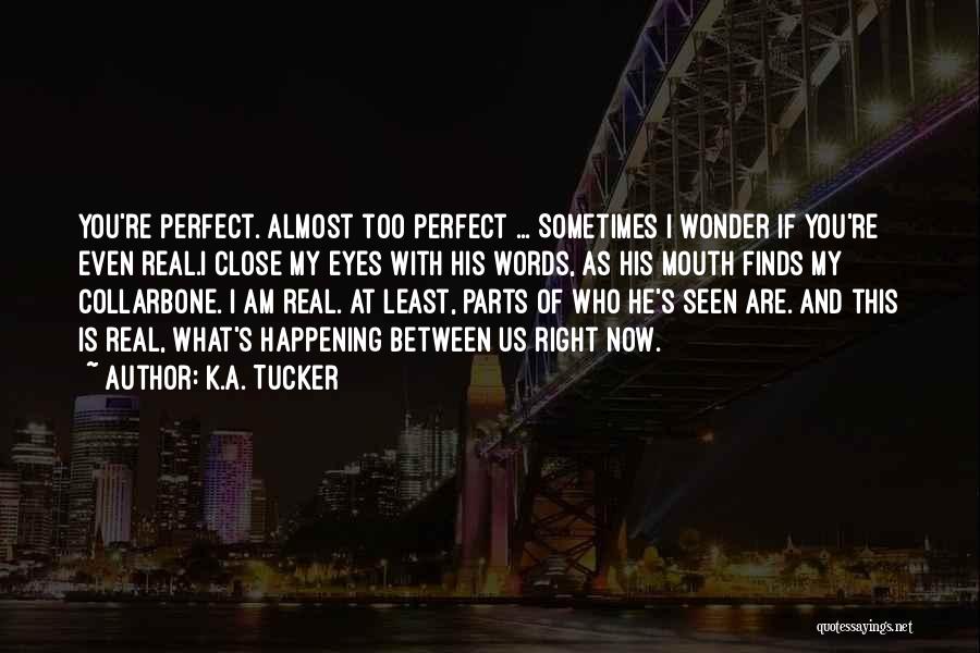 He's Too Perfect Quotes By K.A. Tucker
