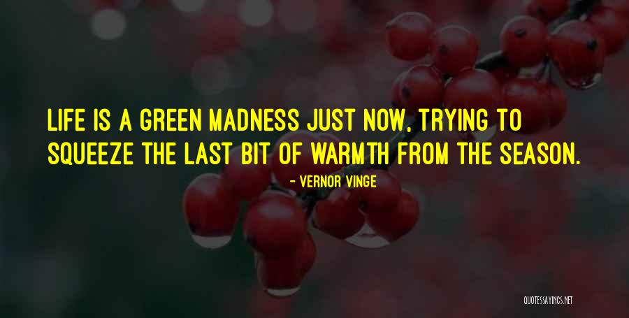 Hesdorffer Saloon Quotes By Vernor Vinge Hesdorffer Saloon Quotes By Vernor Vinge