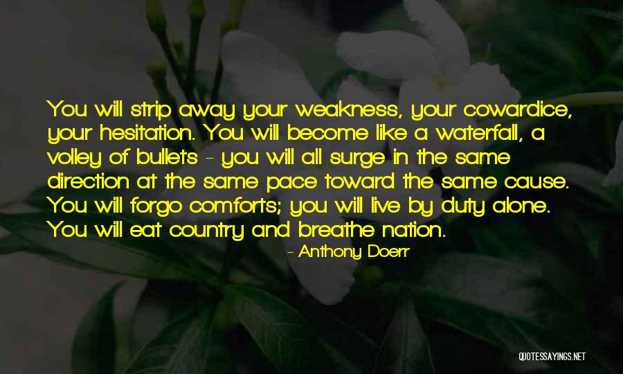 Hesitation Quotes By Anthony Doerr Hesitation Quotes By Anthony Doerr