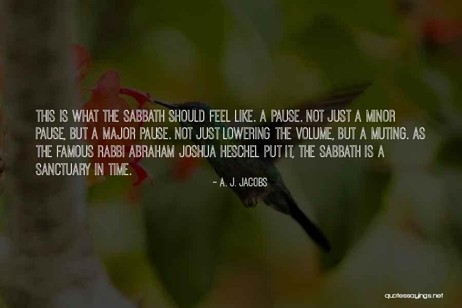 Hesley Oximeter Quotes By A. J. Jacobs Hesley Oximeter Quotes By A. J. Jacobs