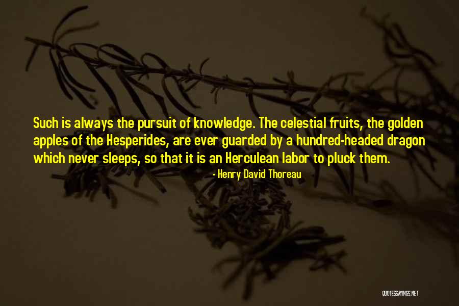 Hesperides Quotes By Henry David Thoreau Hesperides Quotes By Henry David Thoreau