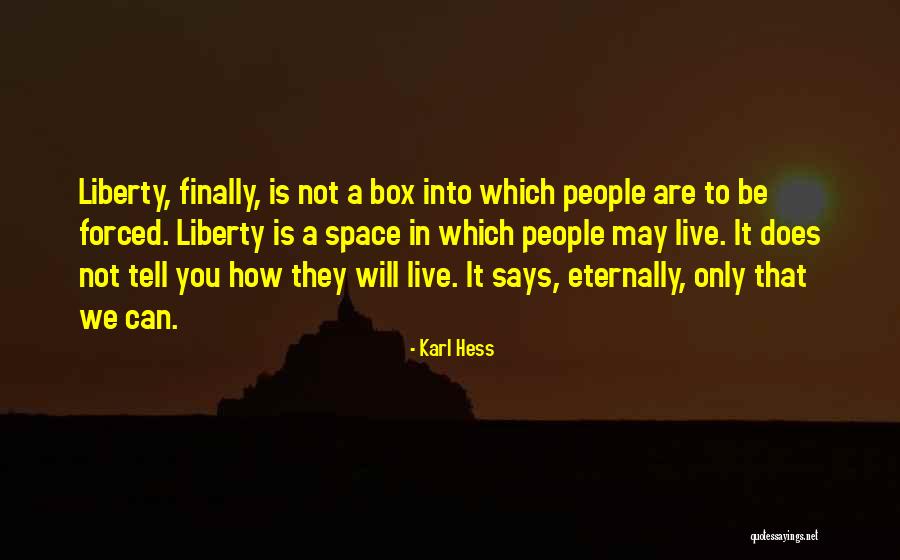 Hess Quotes By Karl Hess