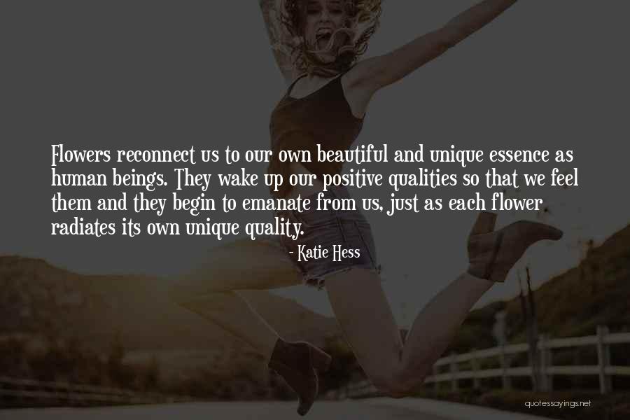 Hess Quotes By Katie Hess