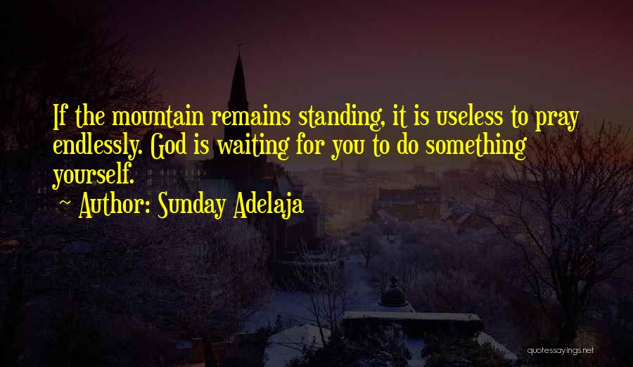 Hessamian Quotes By Sunday Adelaja