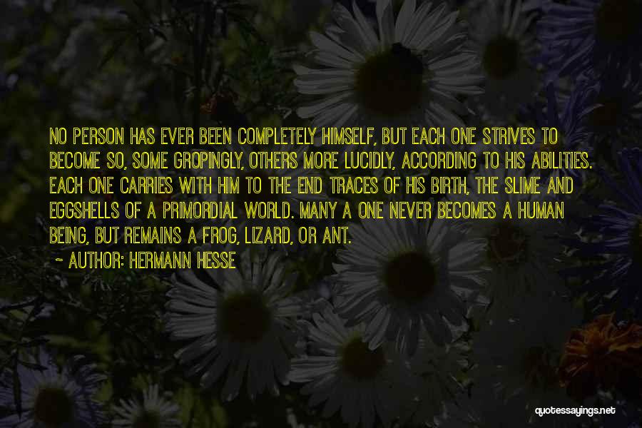 Hesse Quotes By Hermann Hesse