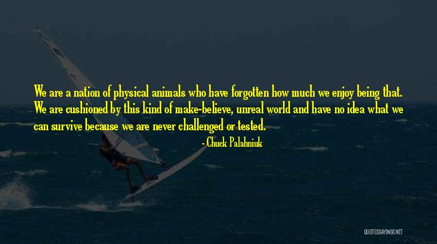 Hessenauer Bel Air Quotes By Chuck Palahniuk Hessenauer Bel Air Quotes By Chuck Palahniuk
