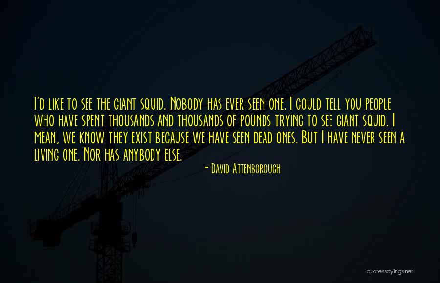 Hessenauer Irrigation Quotes By David Attenborough Hessenauer Irrigation Quotes By David Attenborough