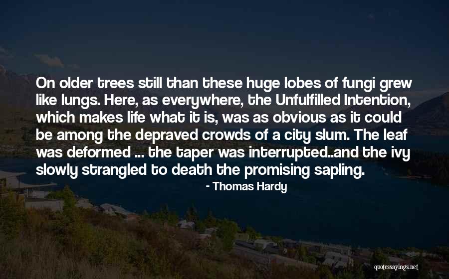 Hessenberg Decomposition Quotes By Thomas Hardy Hessenberg Decomposition Quotes By Thomas Hardy