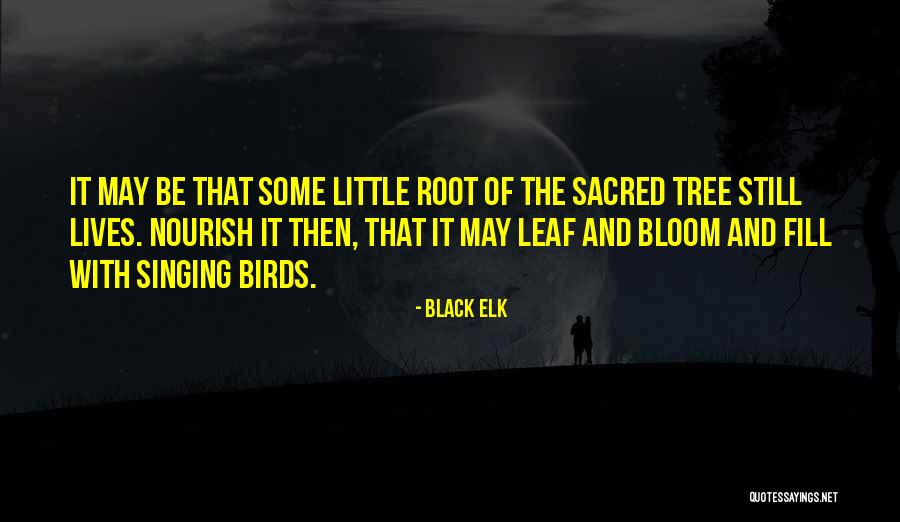 Hessinks Quotes By Black Elk Hessinks Quotes By Black Elk