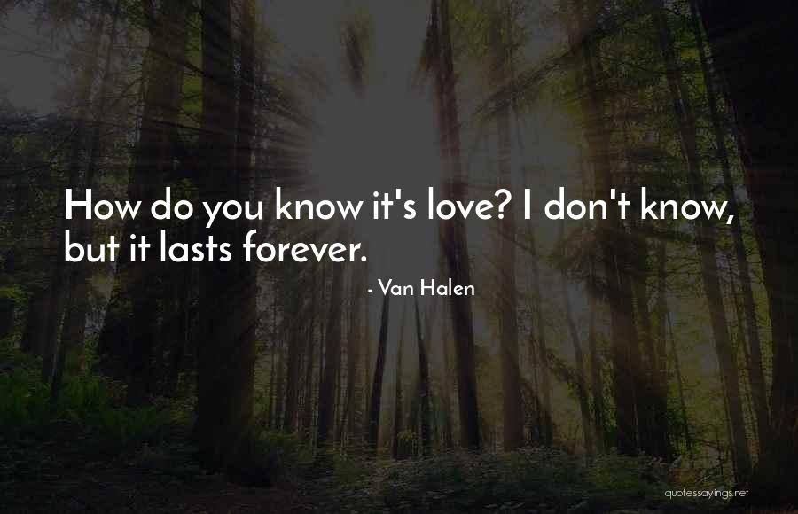 Hestengen Quotes By Van Halen Hestengen Quotes By Van Halen