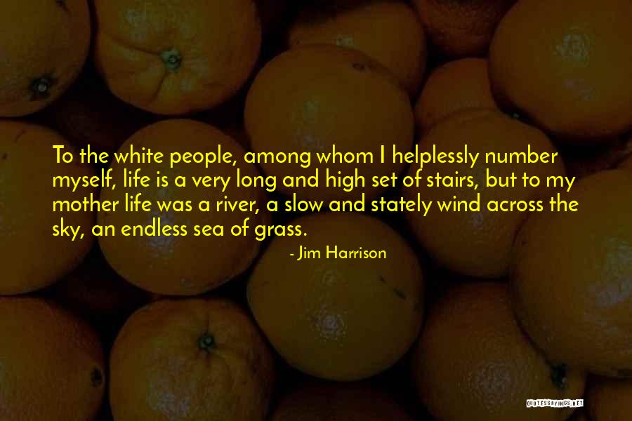 Hester Prynne's Beauty Quotes By Jim Harrison Hester Prynne's Beauty Quotes By Jim Harrison